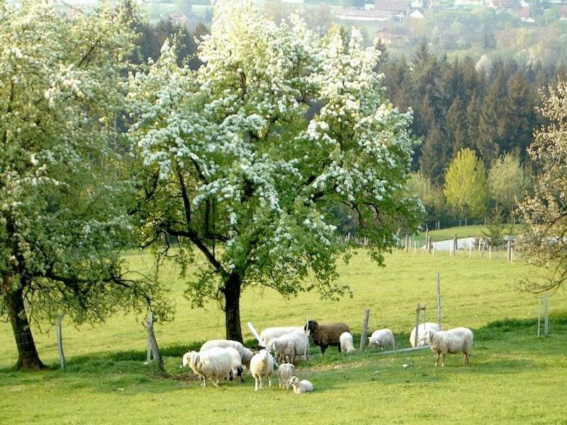 Ferienhaus Huber 블레이부르크 외부 사진